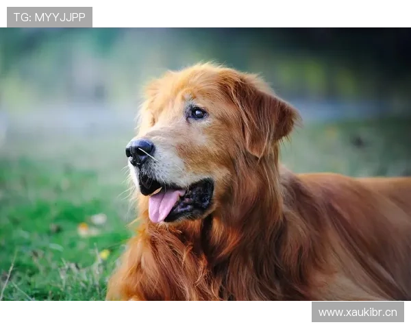 苏亚雷斯又开始了，谁能想到他私下居然这么会宠狗？